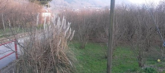 39000m² Land in Atripalda, Italy No. 64532 5