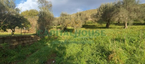 1-Zimmer Grundstück in Pastorano, Italy, Nr. 166990 4