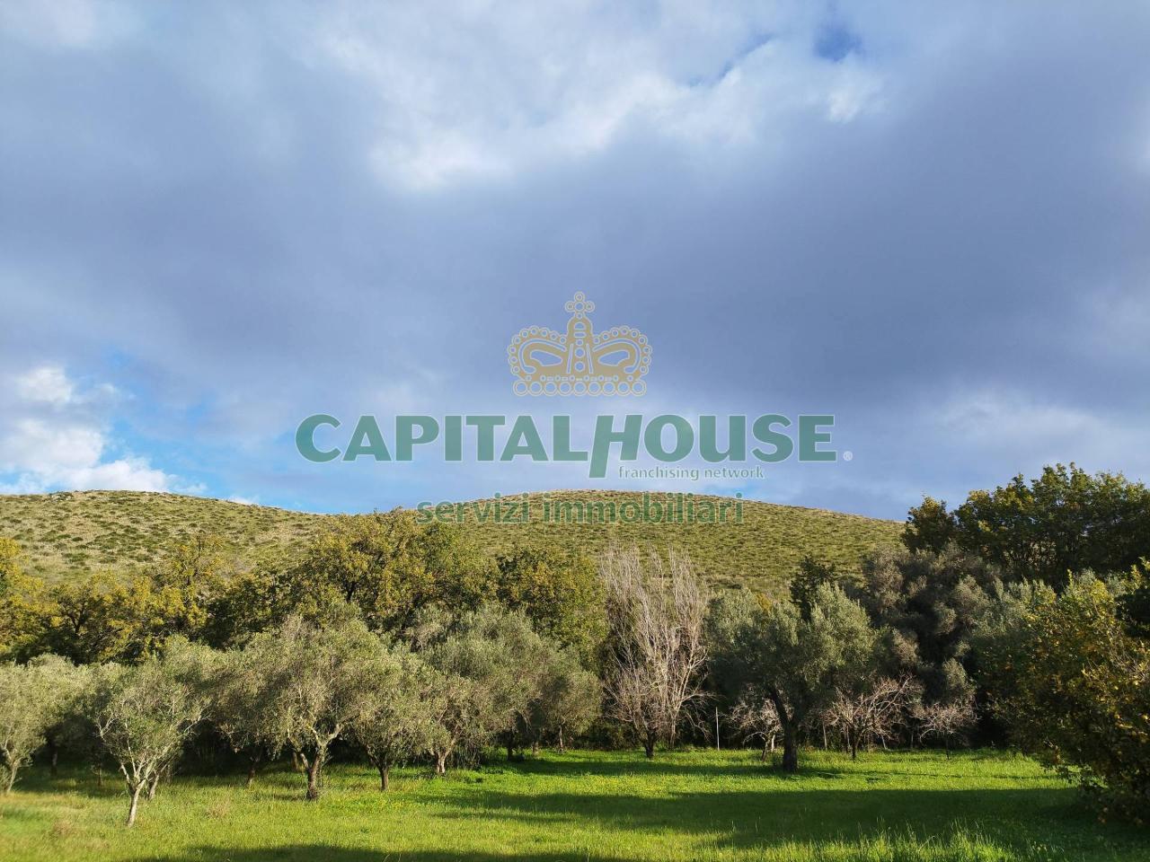 1-Zimmer Grundstück in Pastorano, Italy, Nr. 166990