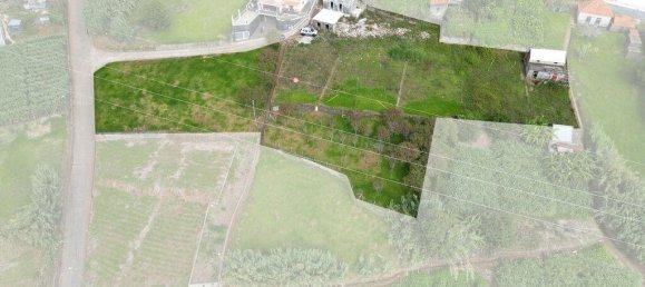 3339m² Land in Ponta do Sol, Portugal No. 132173 13