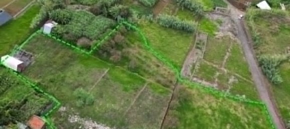 3339m² Land in Ponta do Sol, Portugal No. 132173 5