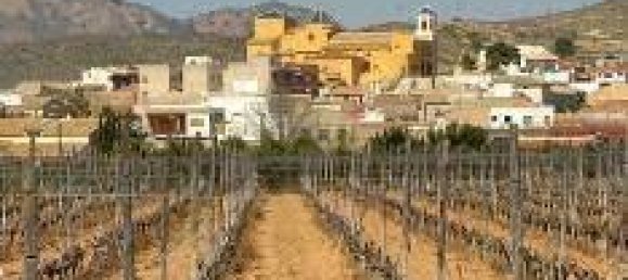 3 bedrooms Bungalow in Hondon De Las Nieves, Spain No. 14407 10