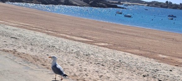 3 chambres Maison à Trégastel, France No. 204344 3
