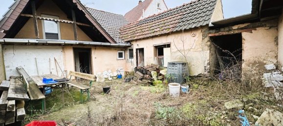 Terrain à Donnersbergkreis, Germany No. 60182 3