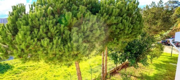 6 bedrooms House in Oeiras, Portugal No. 53016 11