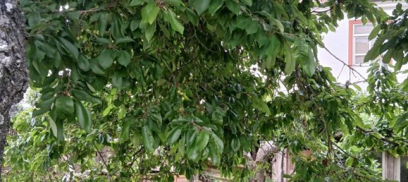 4 غرف نوم منزل في La Robla, Spain رقم 155020 34