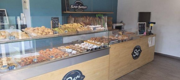 75m² Commercial property in Cabrieres-d'Avignon, France No. 355552 11