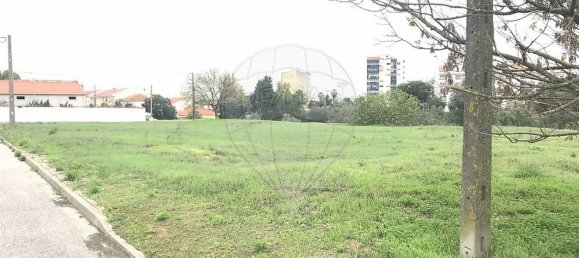 Земельный участок 946м² в Бенавенти, Португалия № 73512 2