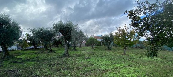 3 bedrooms House in Cabecudo, Portugal No. 42148 21