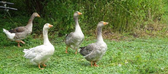 7-salle Maison de ville à Ebersberg, Germany No. 165541 26