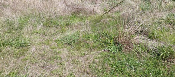 2 bedrooms House in Ruan-sur-Egvonne, France No. 227060 2