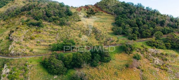 20800m² Land in Machico, Portugal No. 144007 5