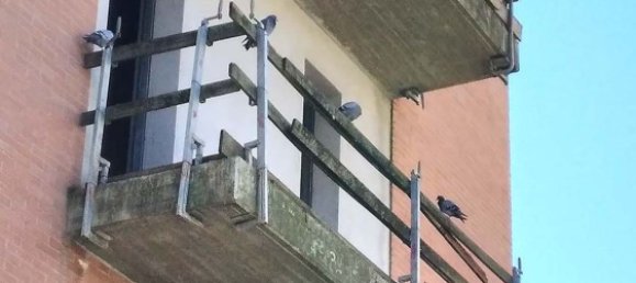 Propriété commerciale à San Giovanni Valdarno, Italy 890m² No. 48315 7