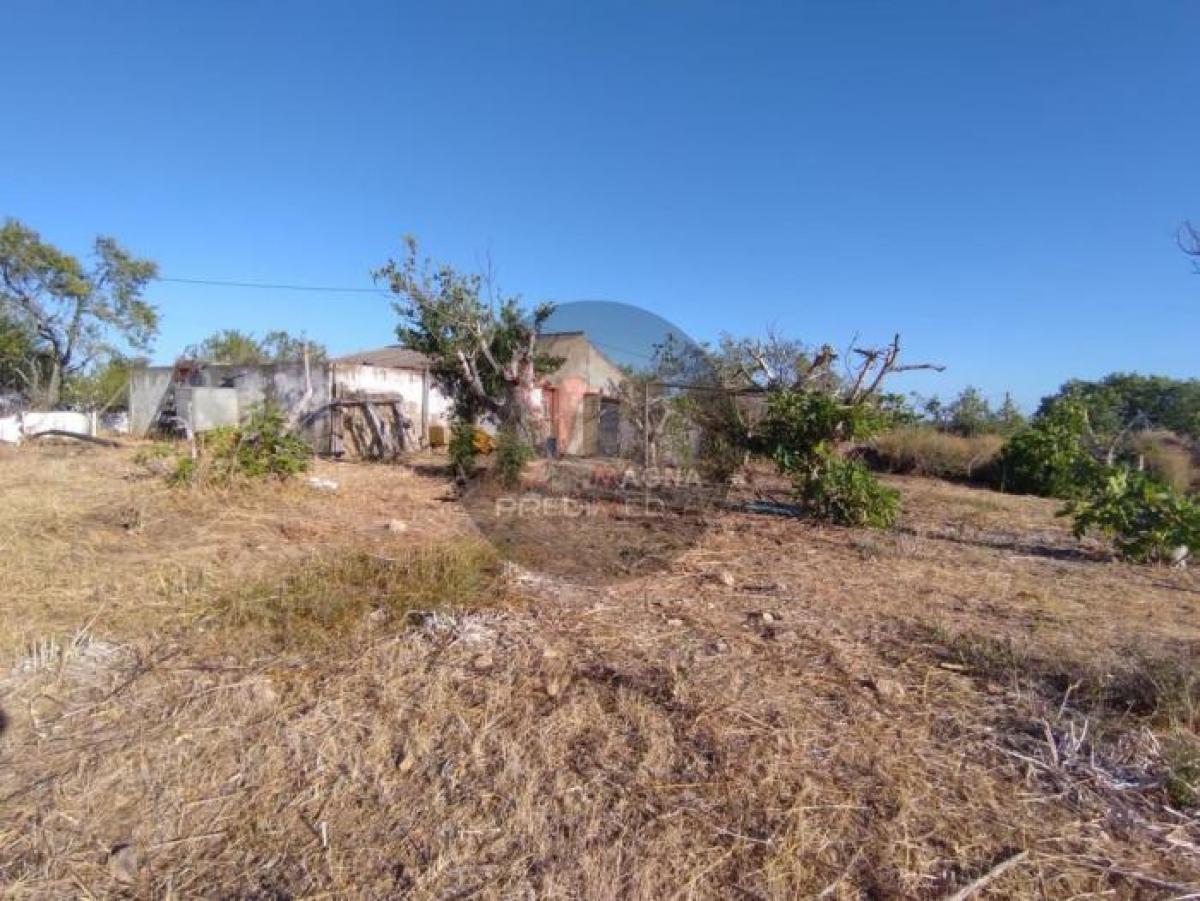 Estúdio em Silves, Portugal N.º 2658