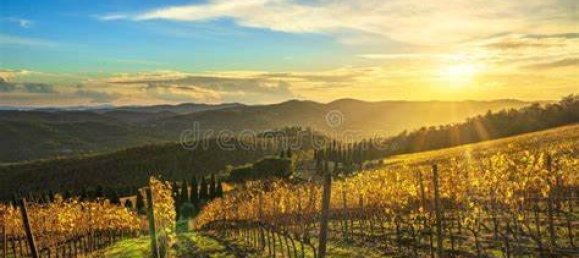 10 bedrooms Villa in Greve in Chianti, Italy No. 189723 32