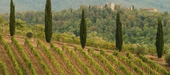 10 bedrooms Villa in Greve in Chianti, Italy No. 189723 31