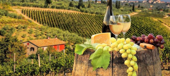 10 bedrooms Villa in Greve in Chianti, Italy No. 189723 33