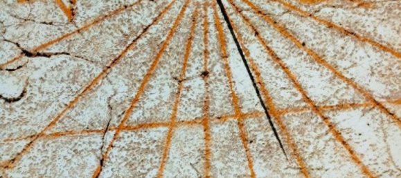 10 bedrooms Villa in Greve in Chianti, Italy No. 189723 24