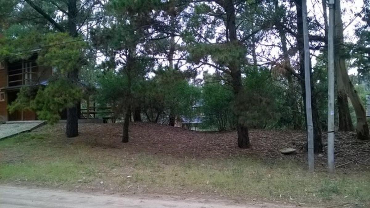 Terrain à Mar del Plata, Argentina No. 116197