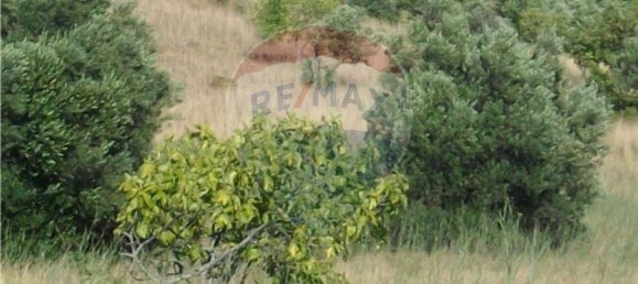 Земельный участок 60м² в Лоле, Португалия № 43897 7