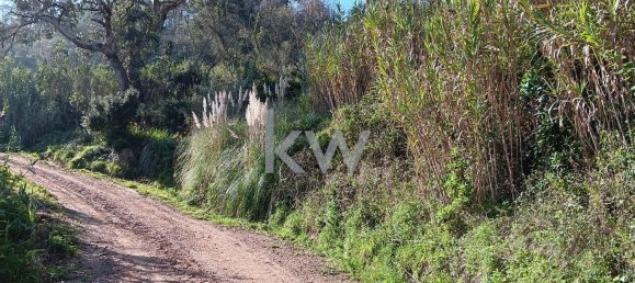 Terrain à Mafra, Portugal 1750m² No. 64261 7