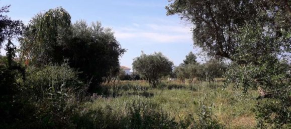  Hotel in Zakynthos, Greece No. 436 13