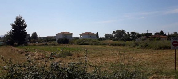  Hotel in Zakynthos, Greece No. 436 20