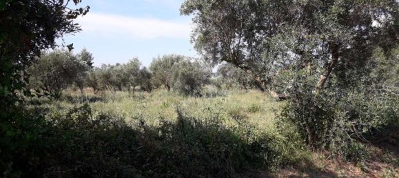  Hotel in Zakynthos, Greece No. 436 10