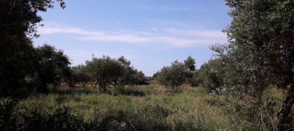  Hotel in Zakynthos, Greece No. 436 12