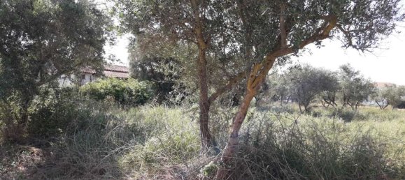  Hotel in Zakynthos, Greece No. 436 4