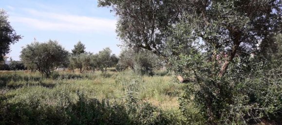  Hotel in Zakynthos, Greece No. 436 6