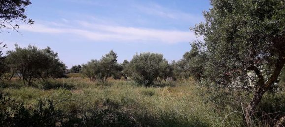  Hotel in Zakynthos, Greece No. 436 9