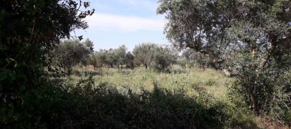  Hotel in Zakynthos, Greece No. 436 11