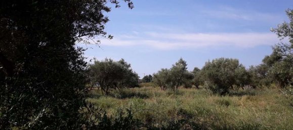  Hotel in Zakynthos, Greece No. 436 7