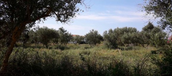  Hotel in Zakynthos, Greece No. 436 15