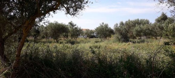  Hotel in Zakynthos, Greece No. 436 3