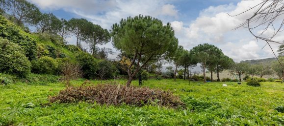 5 bedrooms House in Vila Franca de Xira, Portugal No. 169972 33