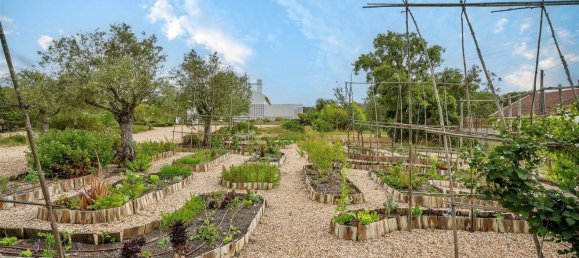 5 bedrooms House in Grandola, Portugal No. 137025 47