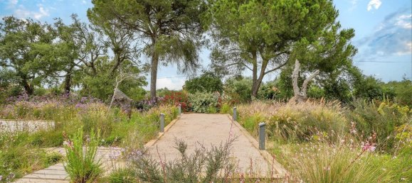 5 bedrooms House in Grandola, Portugal No. 137025 45