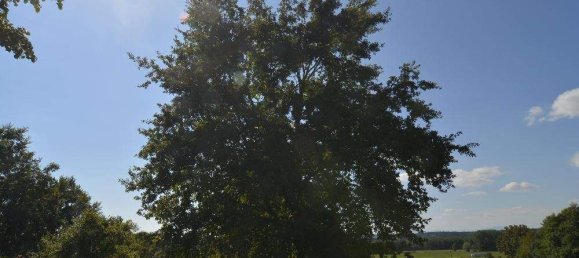 5غرفة منزل في Stegersbach, Austria رقم 132677 16