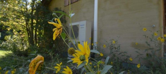 5غرفة منزل في Stegersbach, Austria رقم 132677 32