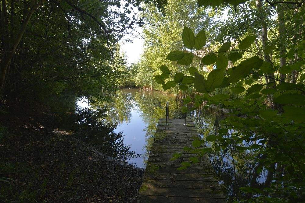 5غرفة منزل في Stegersbach, Austria رقم 132677