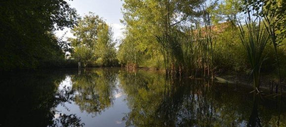 5غرفة منزل في Stegersbach, Austria رقم 132677 23