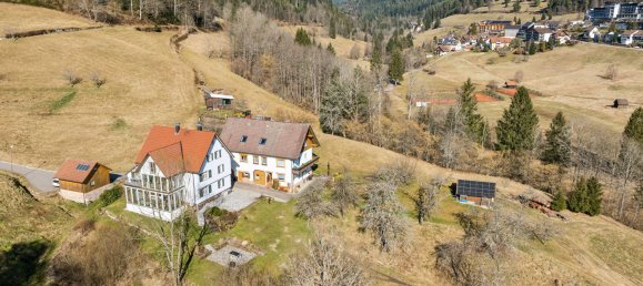 Дом с 7 комнатами в Баден-Вюртемберг, Германия № 65238 26