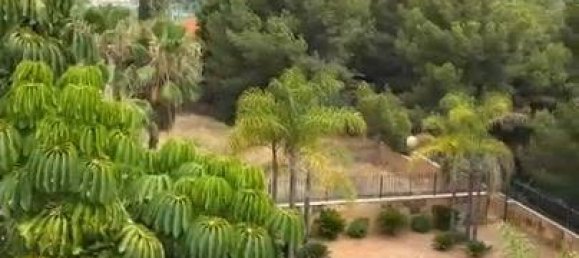 6 chambres Maison à El Palmar, Spain No. 168823 3