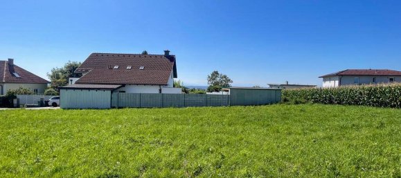  Land in Wilhering, Austria No. 115845 4