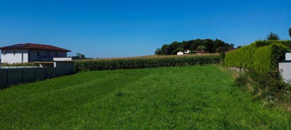  Land in Wilhering, Austria No. 115845 9