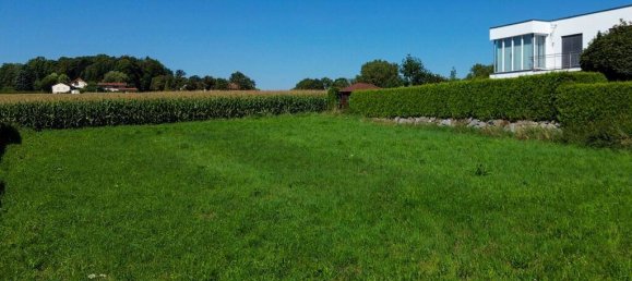  Land in Wilhering, Austria No. 115845 2