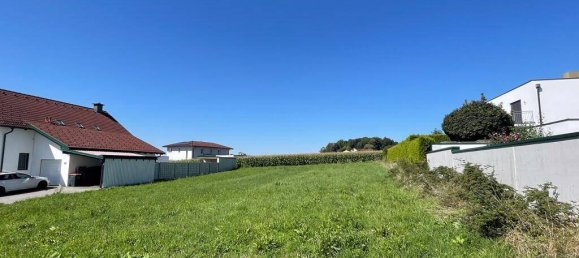  Land in Wilhering, Austria No. 115845 7