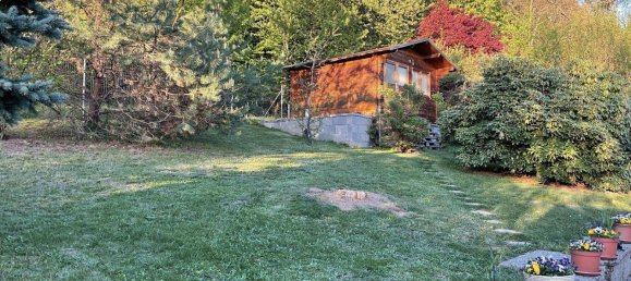 1 bedroom House in Lockenhaus, Austria No. 229326 5